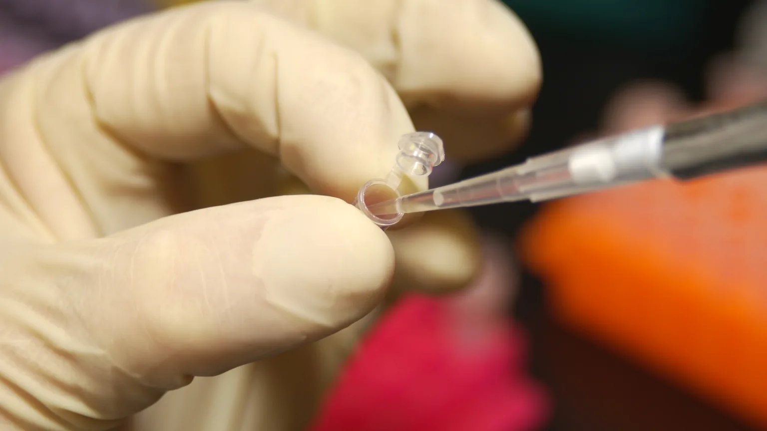 Chercheuse en laboratoire prélevant de l'ADN dans un micro-tube avec une pipette